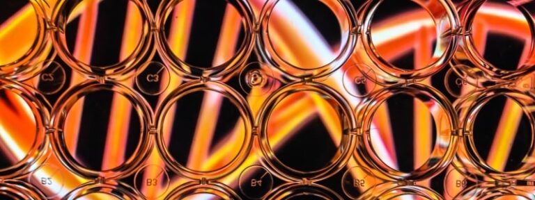 blog-Genomics