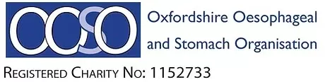 ooso logo