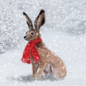 Wrapped Up Warm - Pack of 10 Charity Christmas Cards